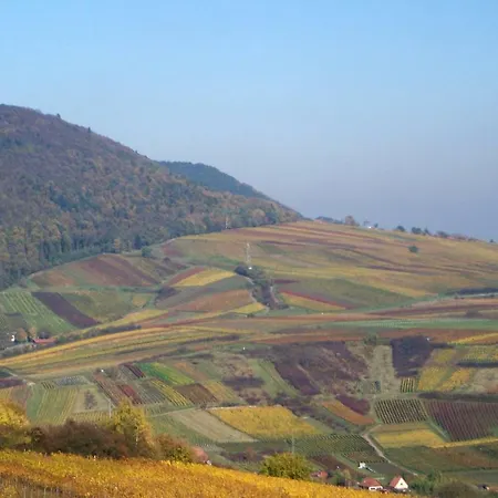 Drehwald * Rinnthal