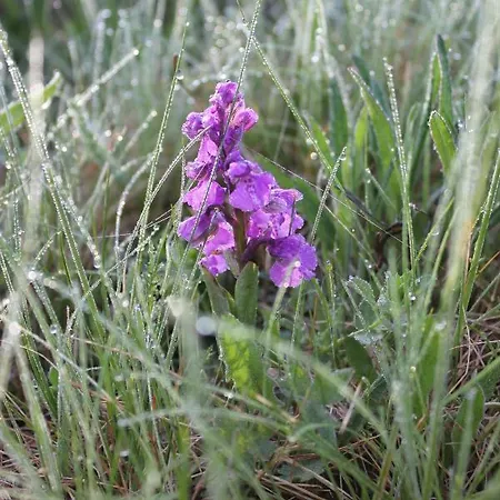 아파트 Drehwald Rinnthal