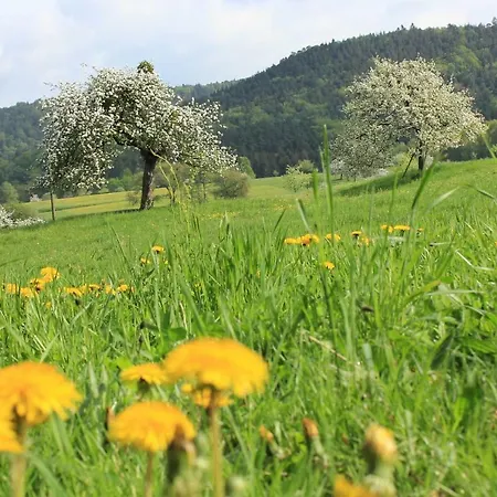 Drehwald 아파트 Rinnthal