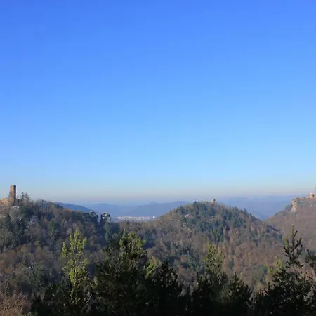 Drehwald